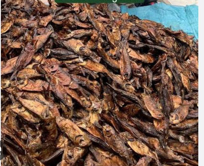 Dried Fish