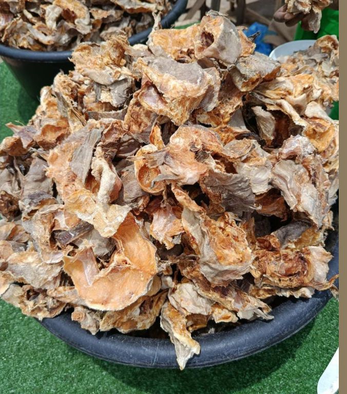 Dried Fish Maw