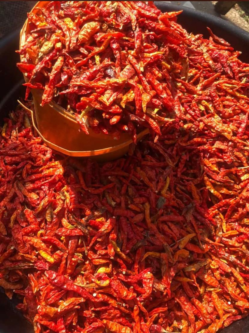 Dried Red Chili Peppers
