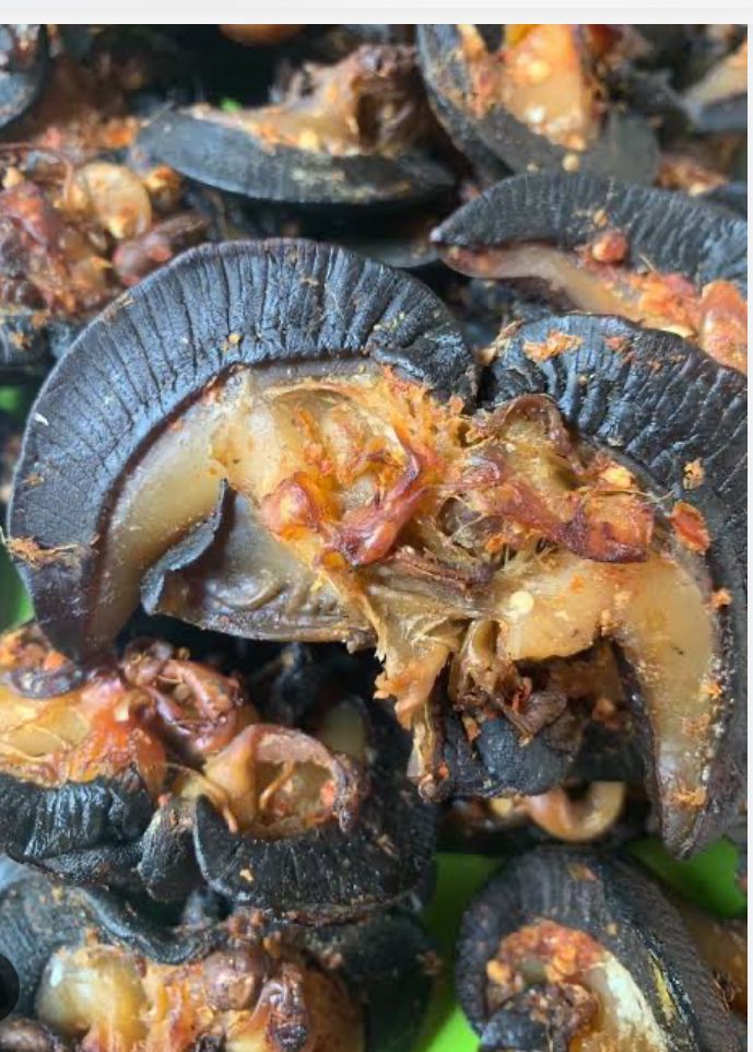 Spiced African Land Snails