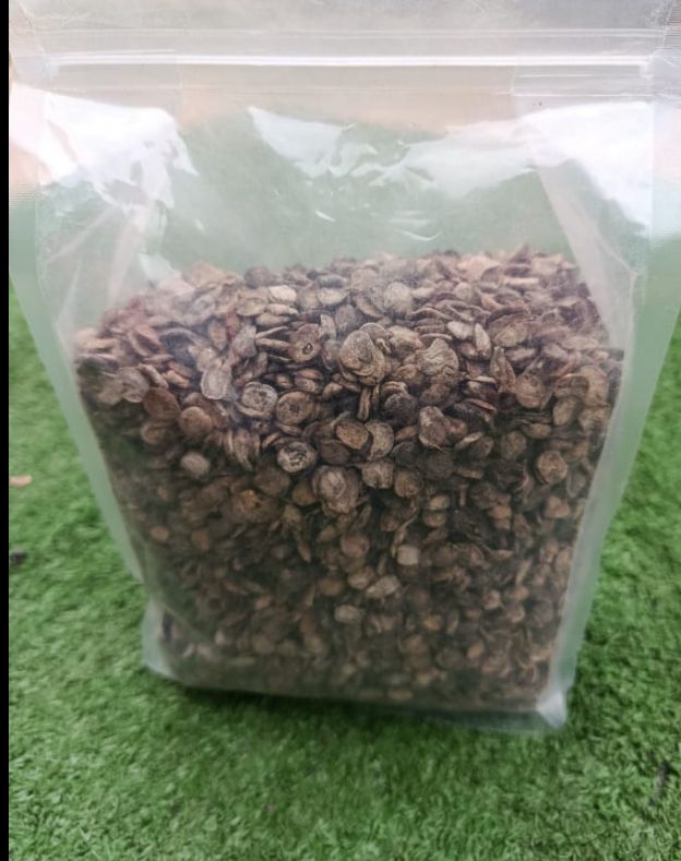 Dried Soursop Seeds