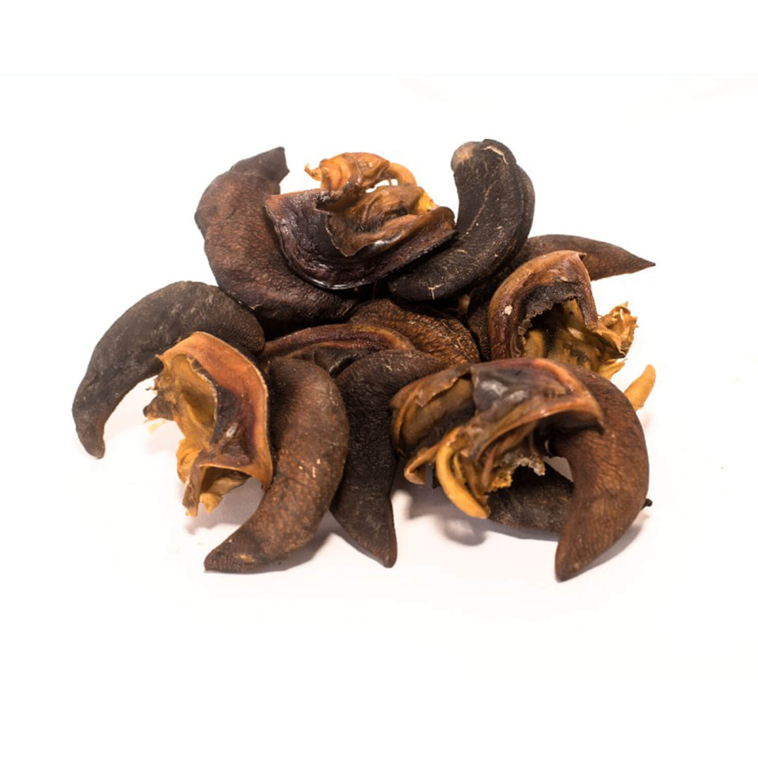 Premium Dried Snail