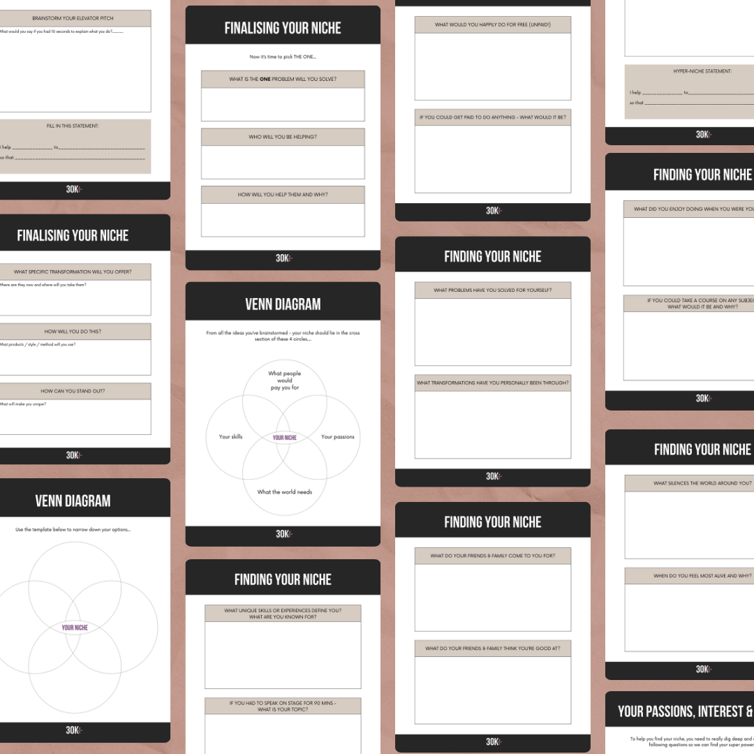 Niche Discovery Mini Workbook