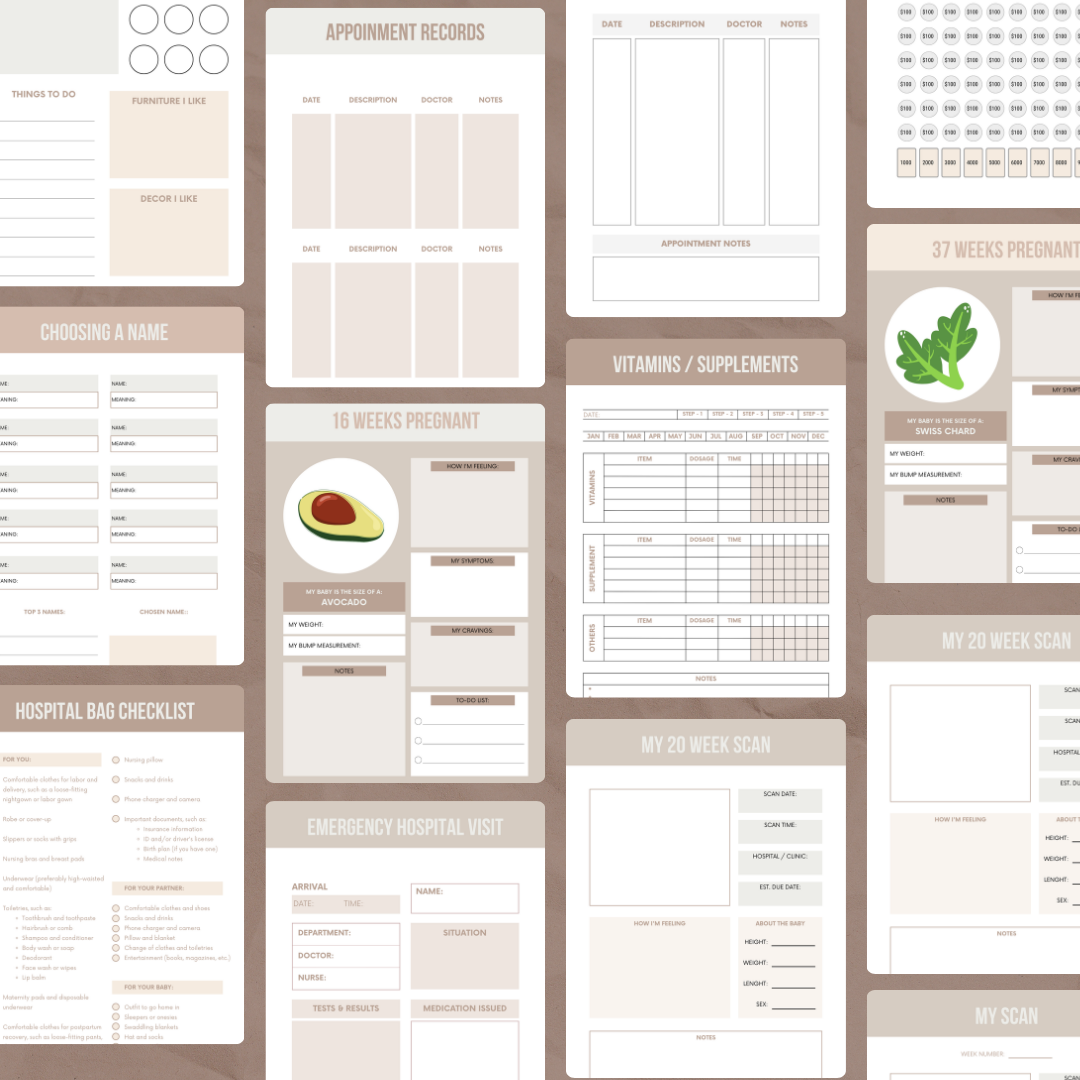 Pregnancy Planner