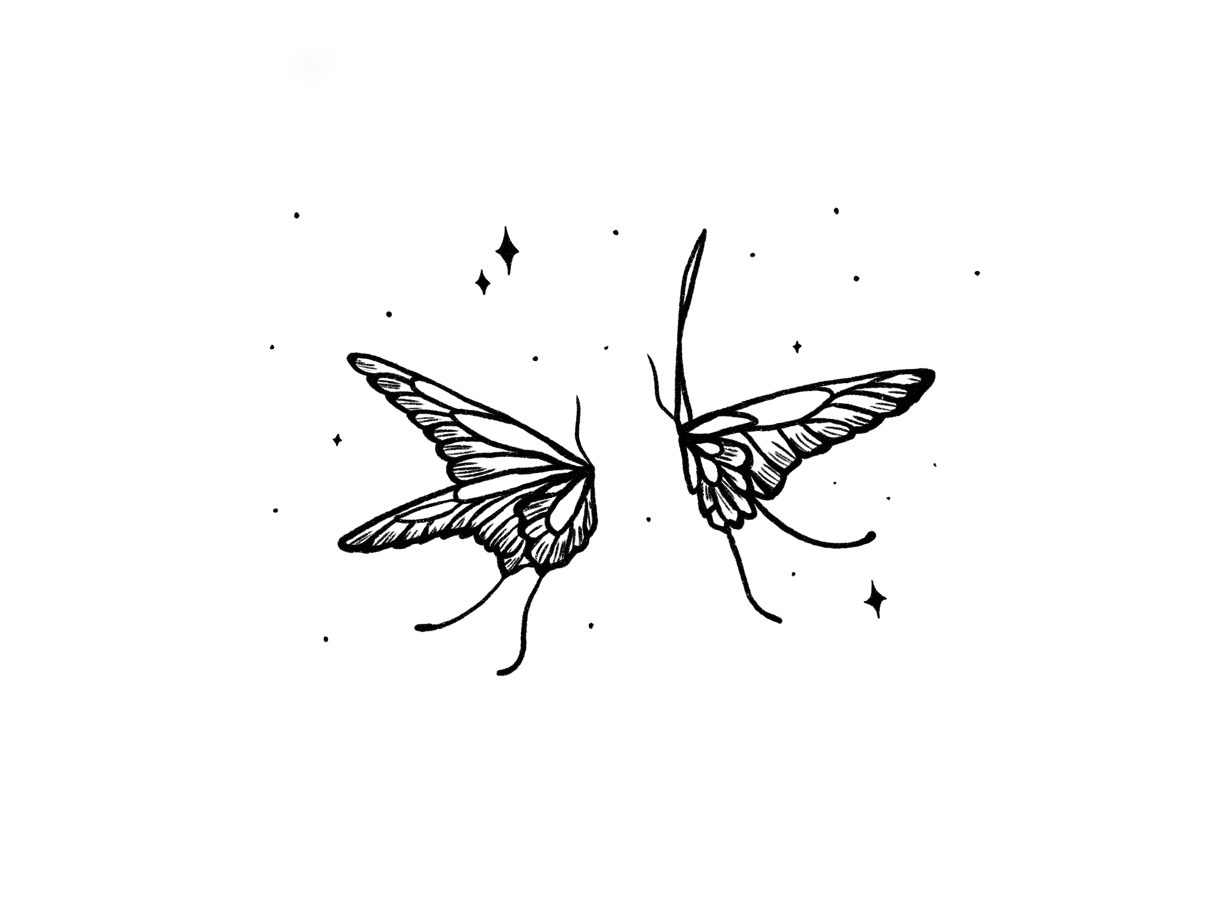 Butterflies