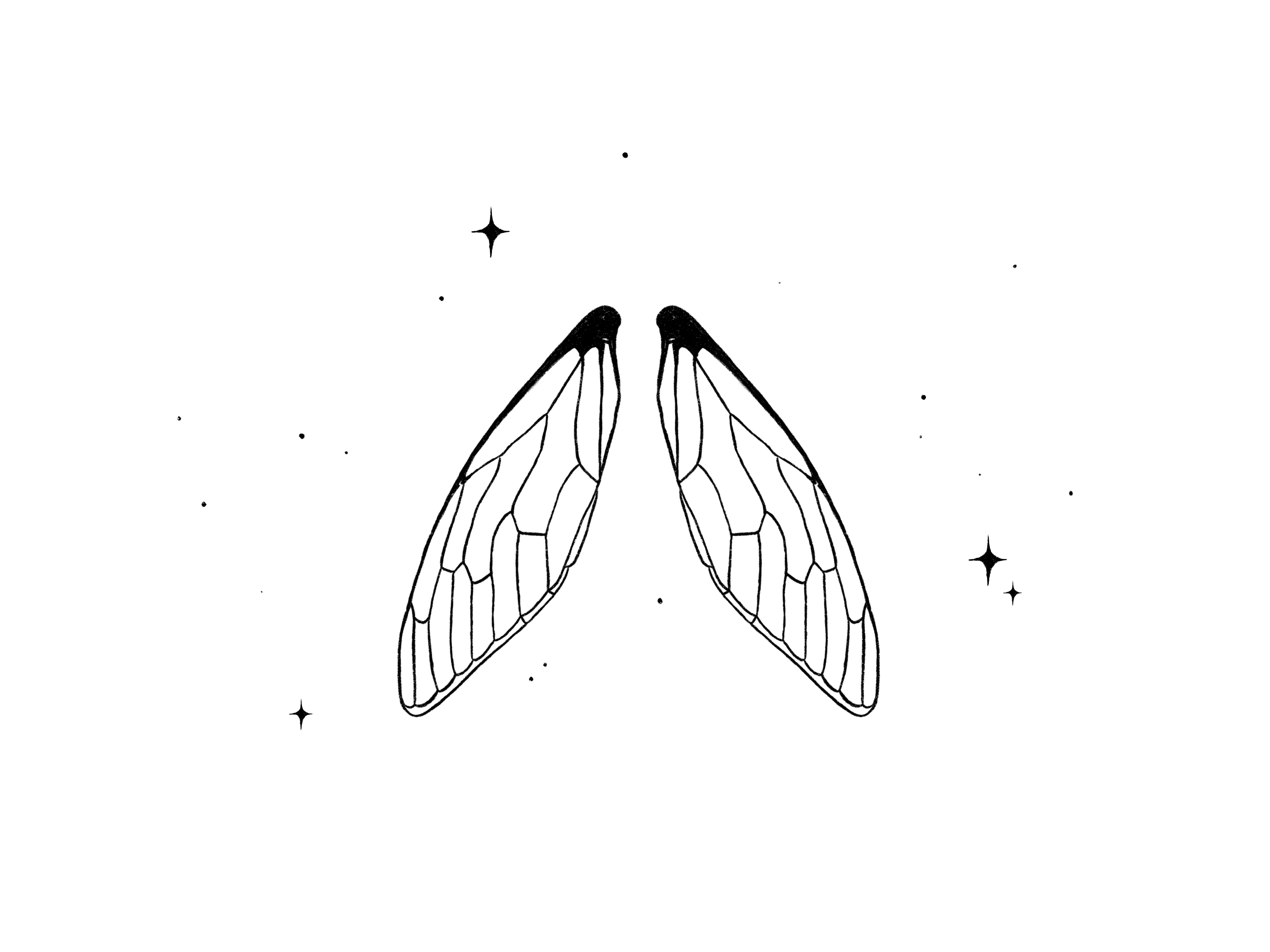 Fairy wings