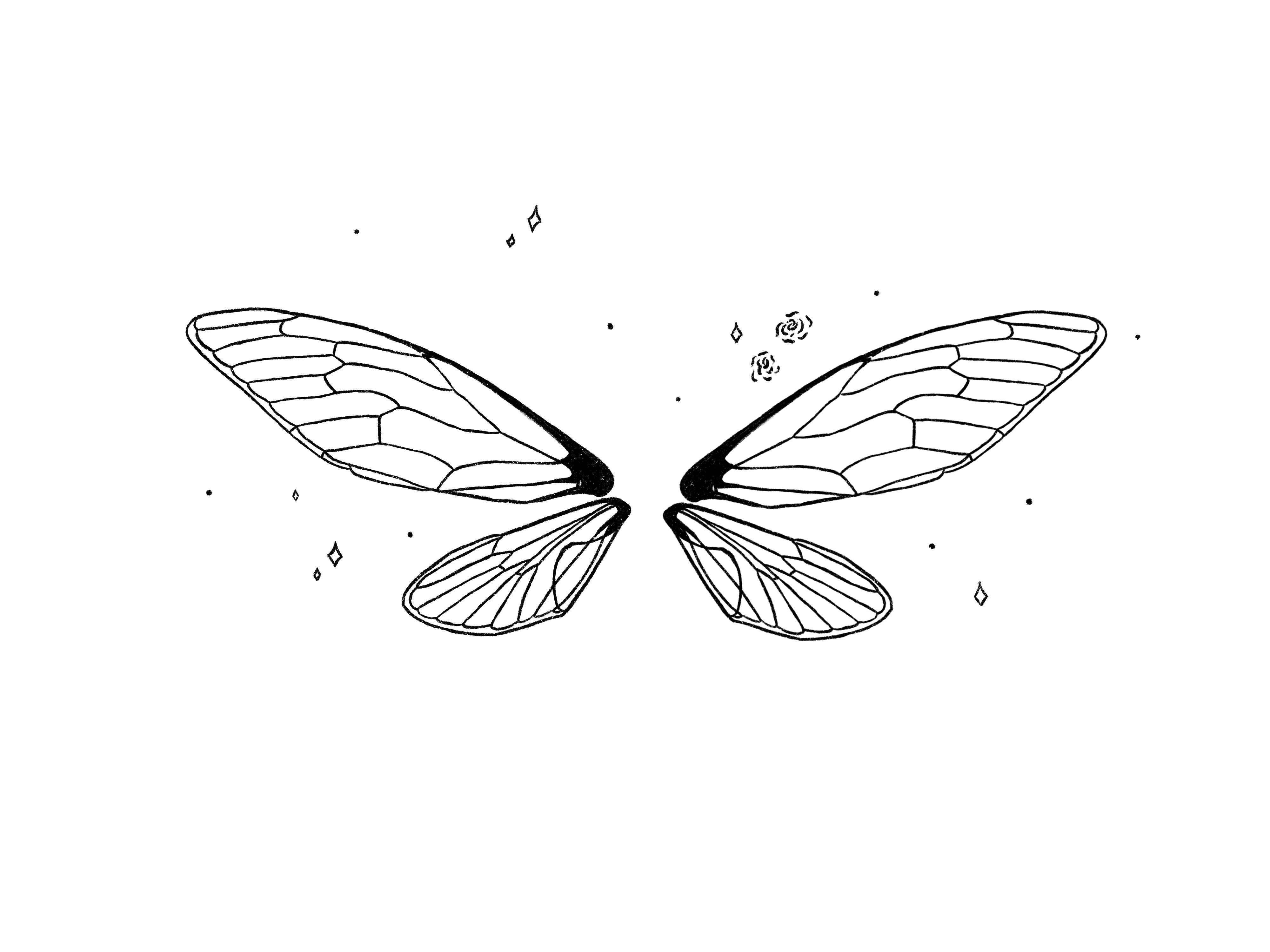 Fairy wings