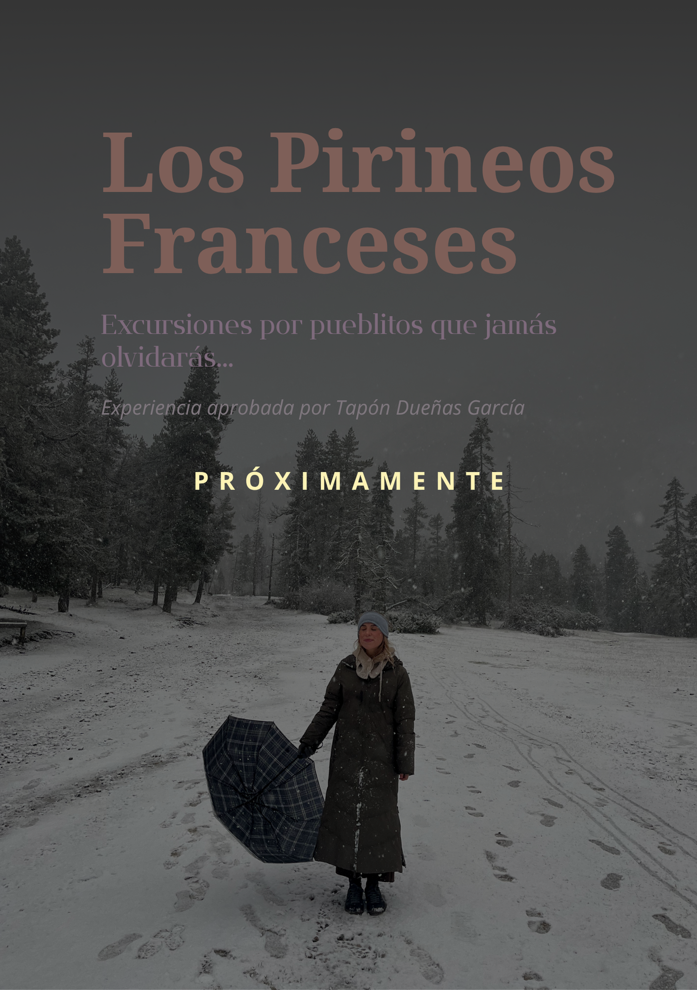 LOS PIRINEOS FRANCESES