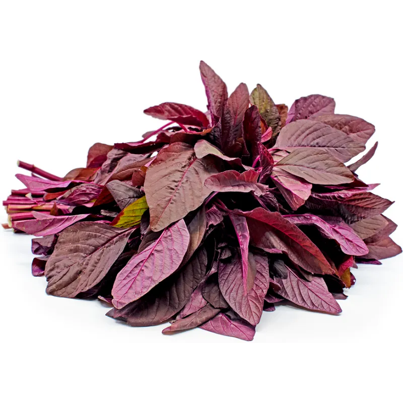 RED SPINACH / ചുവന്ന ചീര 