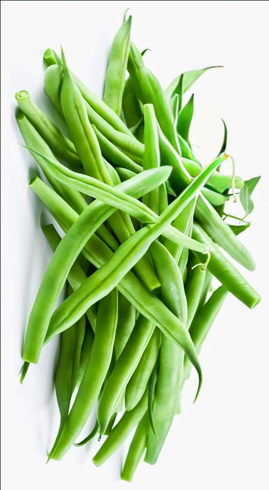 Beans / ബീൻസ് 