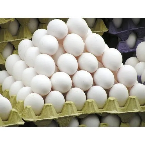 Fresh White Eggs / കോഴിമുട്ട 