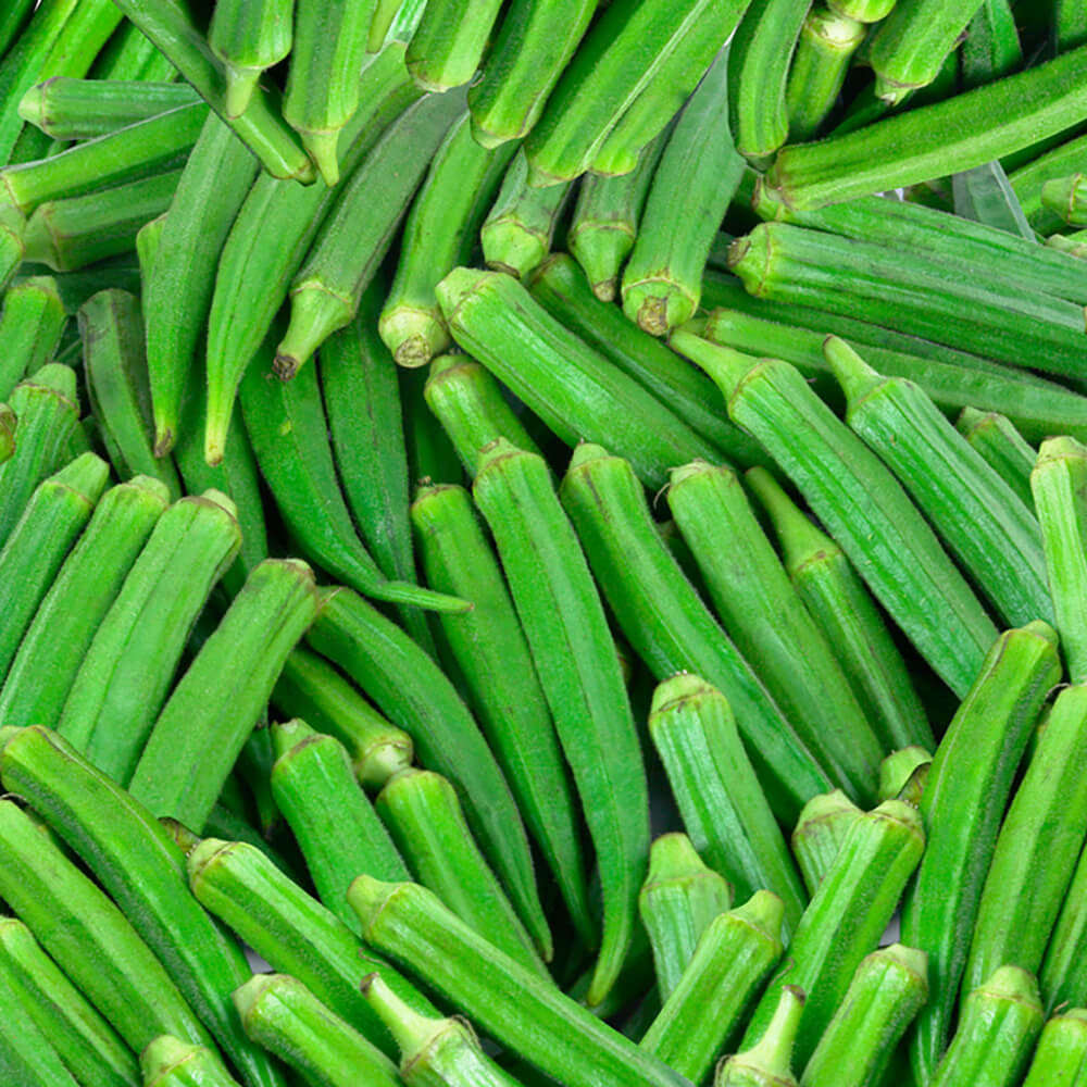 Fresh Okra / വെണ്ടക്ക 