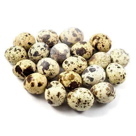 Fresh Quail Eggs / കാടമുട്ട 