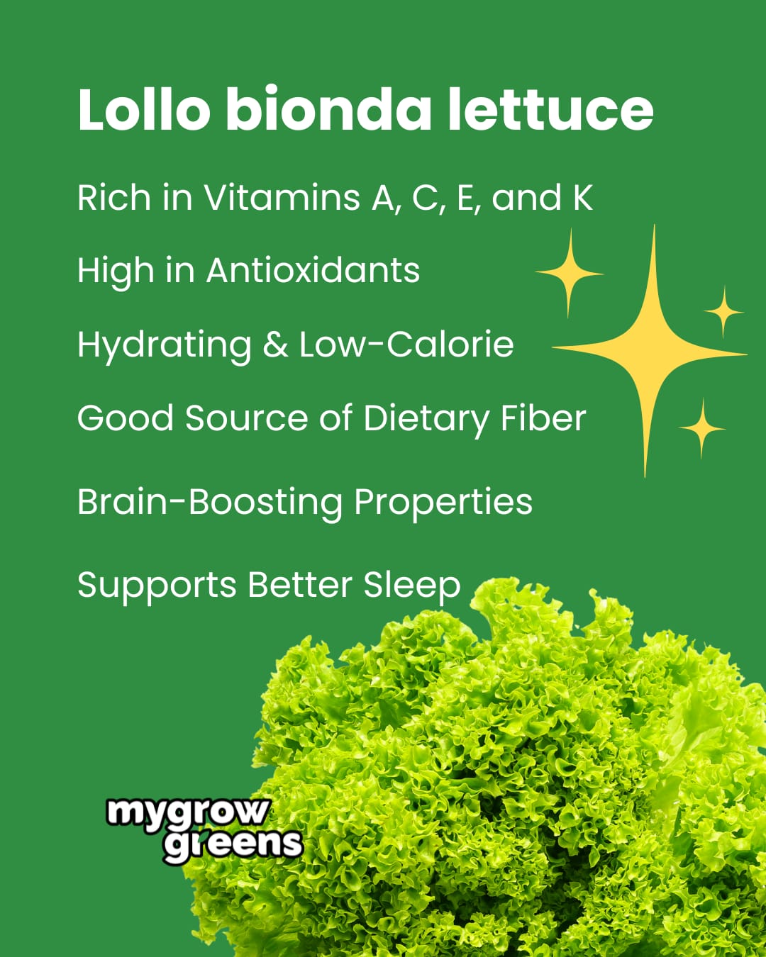 Hydroponic Salad Box /ഓർഗാനിക് സാലഡ് 