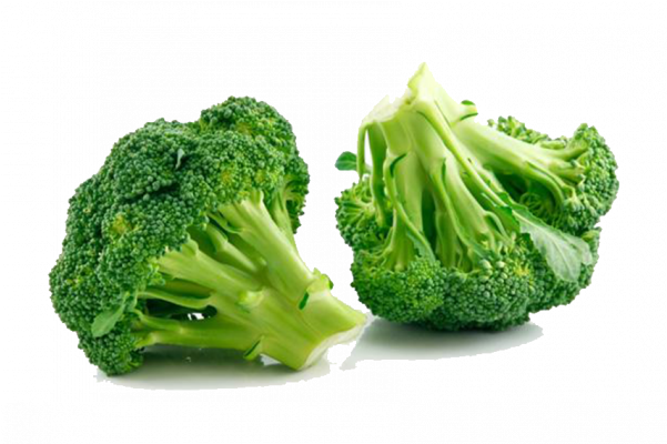 Fresh Broccoli /