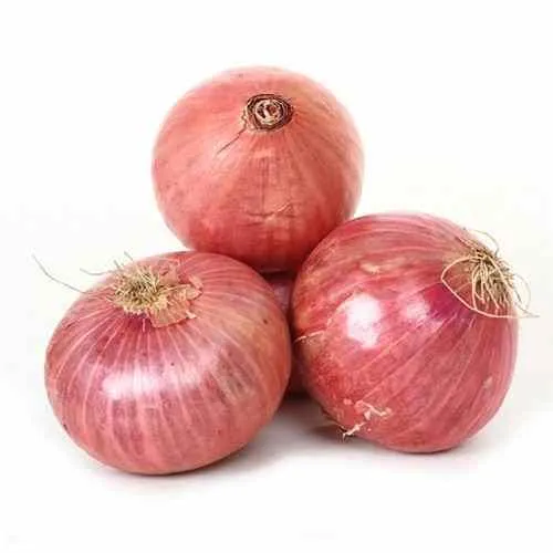 Big Onion / വലിയ ഉള്ളി 