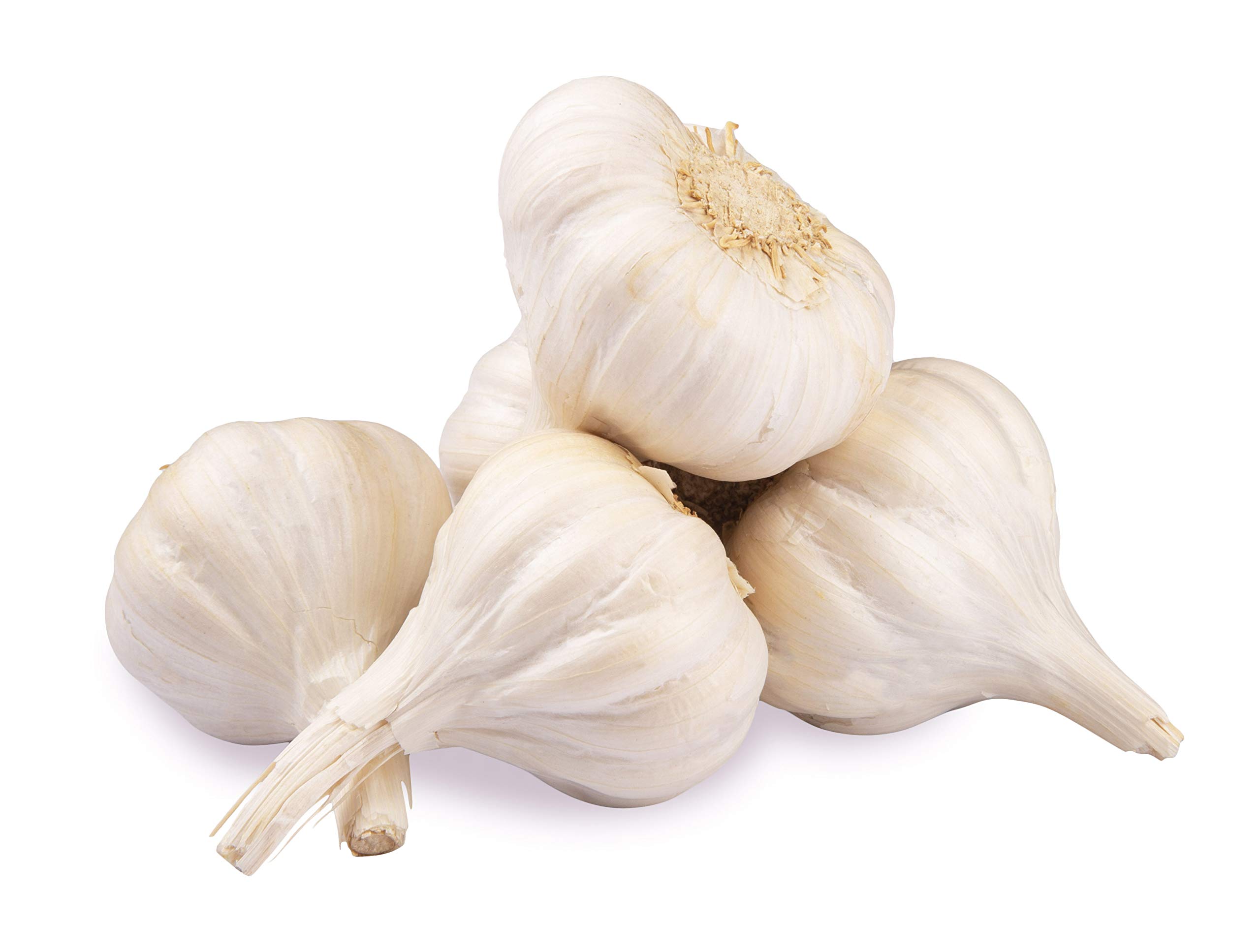 Garlic / വെളുത്തുള്ളി 