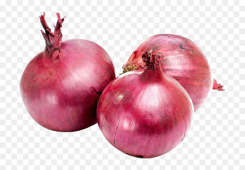 വലിയ ഉള്ളി  / Big Onion 