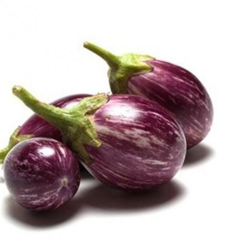 Brinjal /വഴുതനങ്ങ 