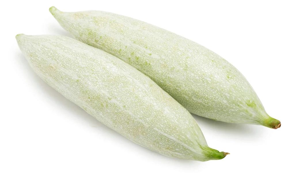 Snake Gourd / പടവലങ്ങ 