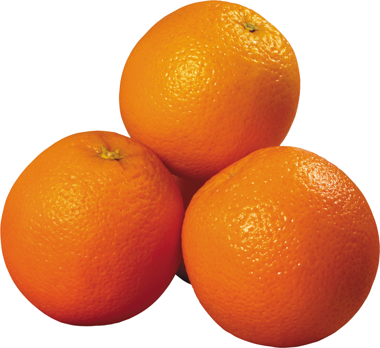 Orange / ഓറഞ്ച് 