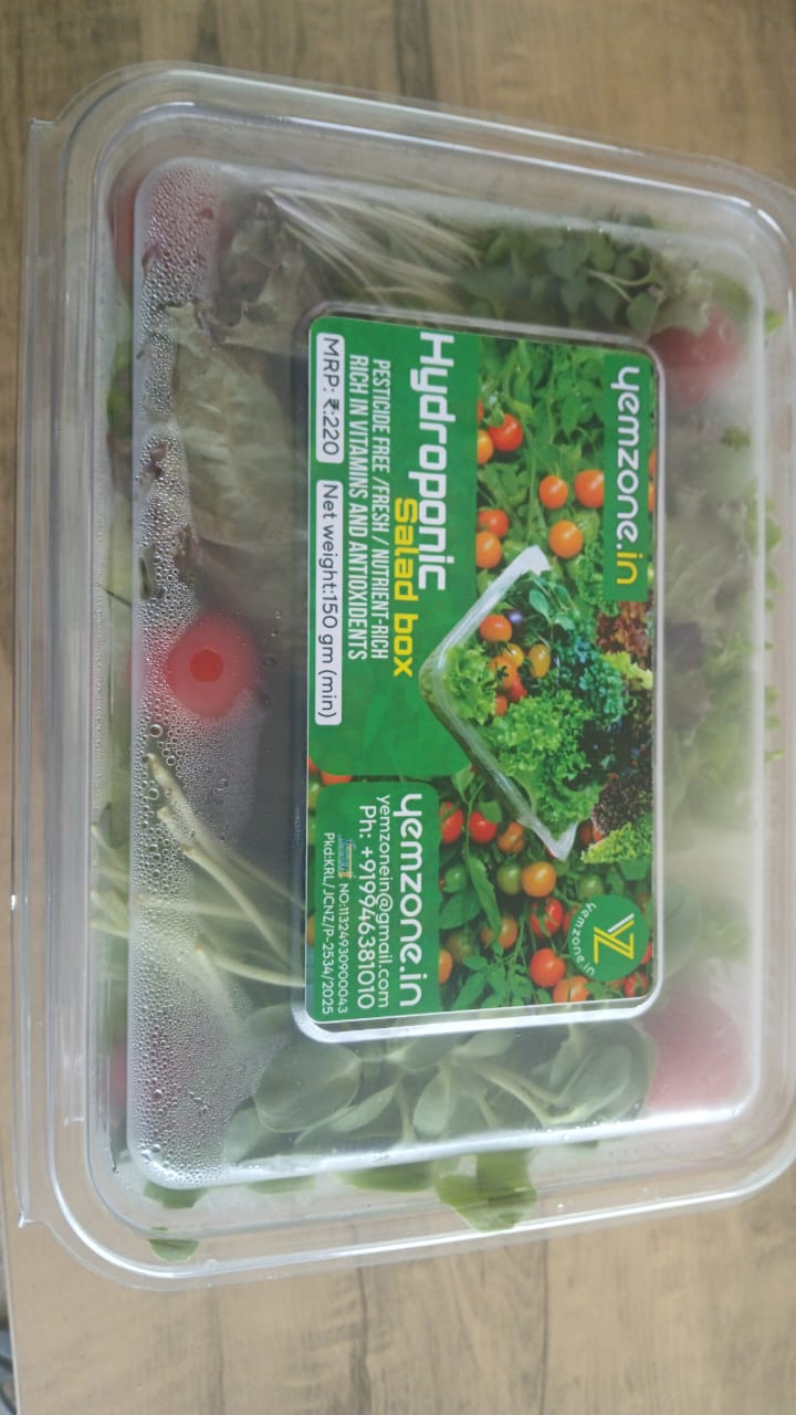 Hydroponic Salad Box /ഓർഗാനിക് സാലഡ് 