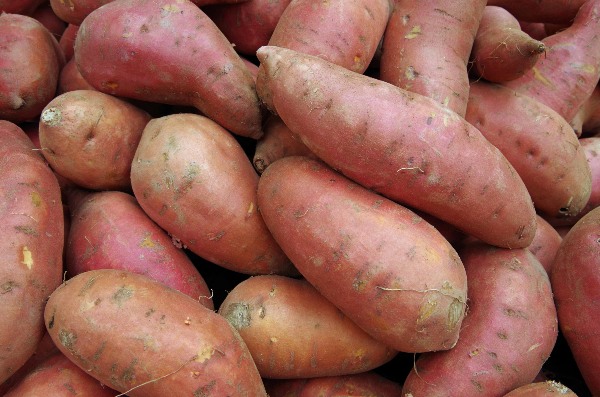 Fresh Sweet Potatoes / മധുരകിഴങ്ങ് 