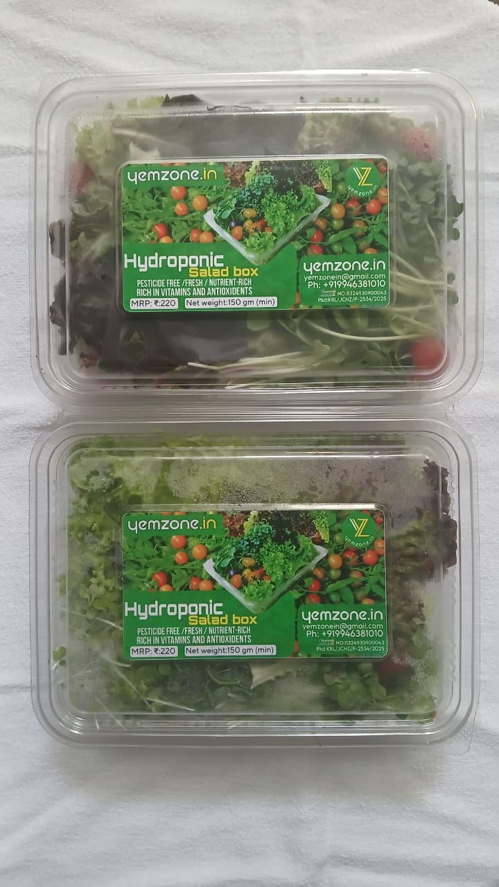 Hydroponic Salad Box /ഓർഗാനിക് സാലഡ് 
