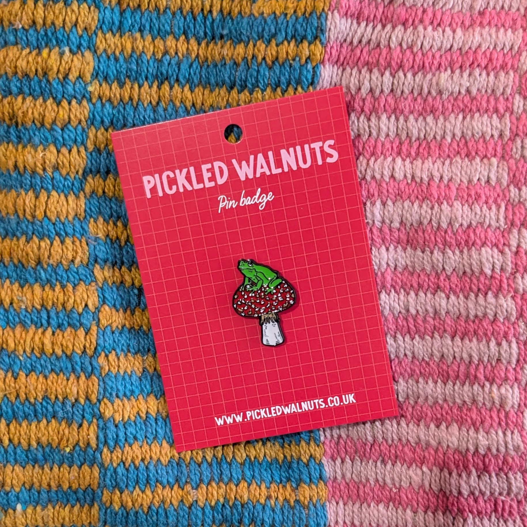 'Frog on toadstool' pin badge