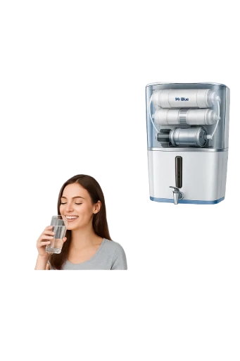 Mr. Blue RO Water Purifier