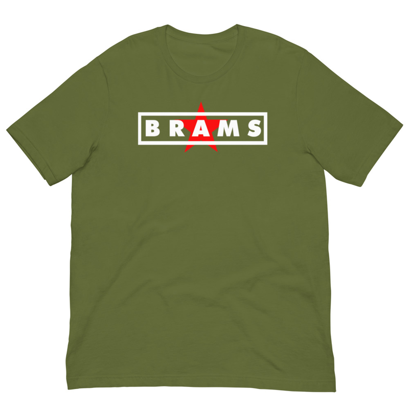 LOGO BRAMS