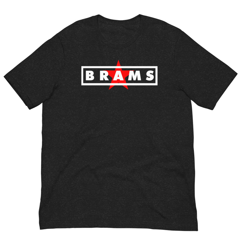 LOGO BRAMS