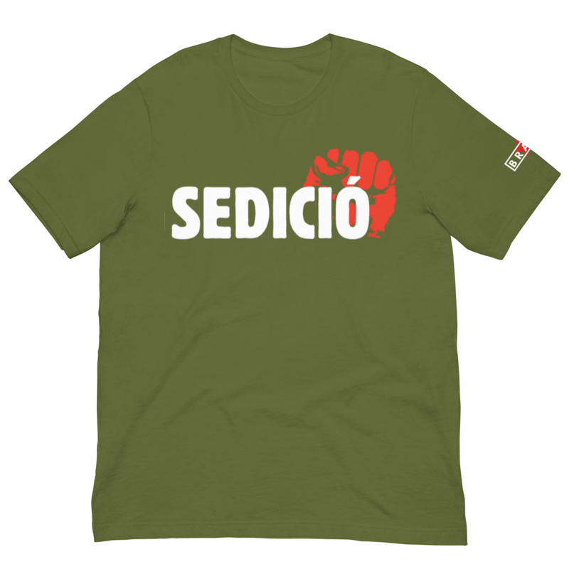 SEDICIÓ