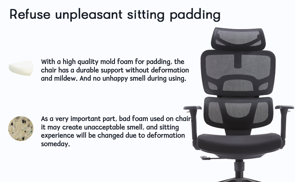 Ergonomic Office Chair