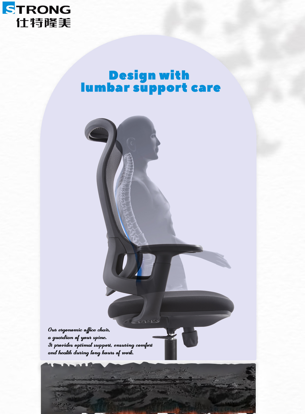 Ergonomic Office Chair