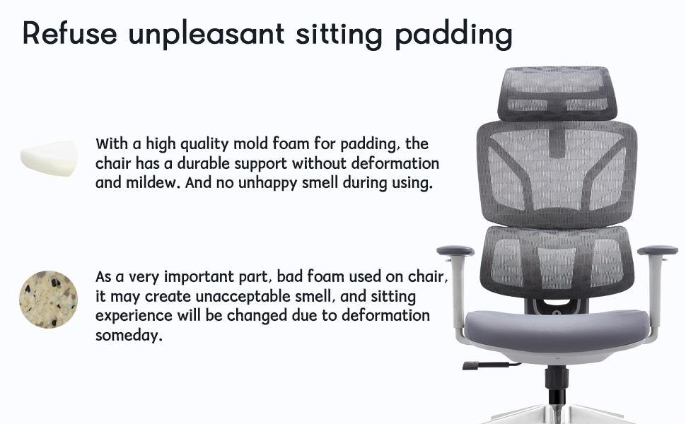 Ergonomic Office Chair