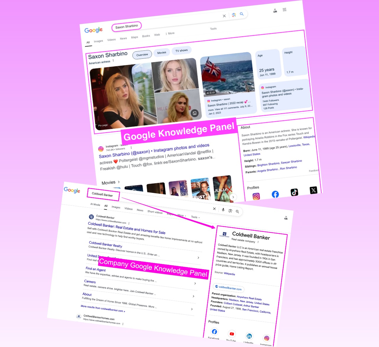 Company & Founder Google Knowledge Panel
