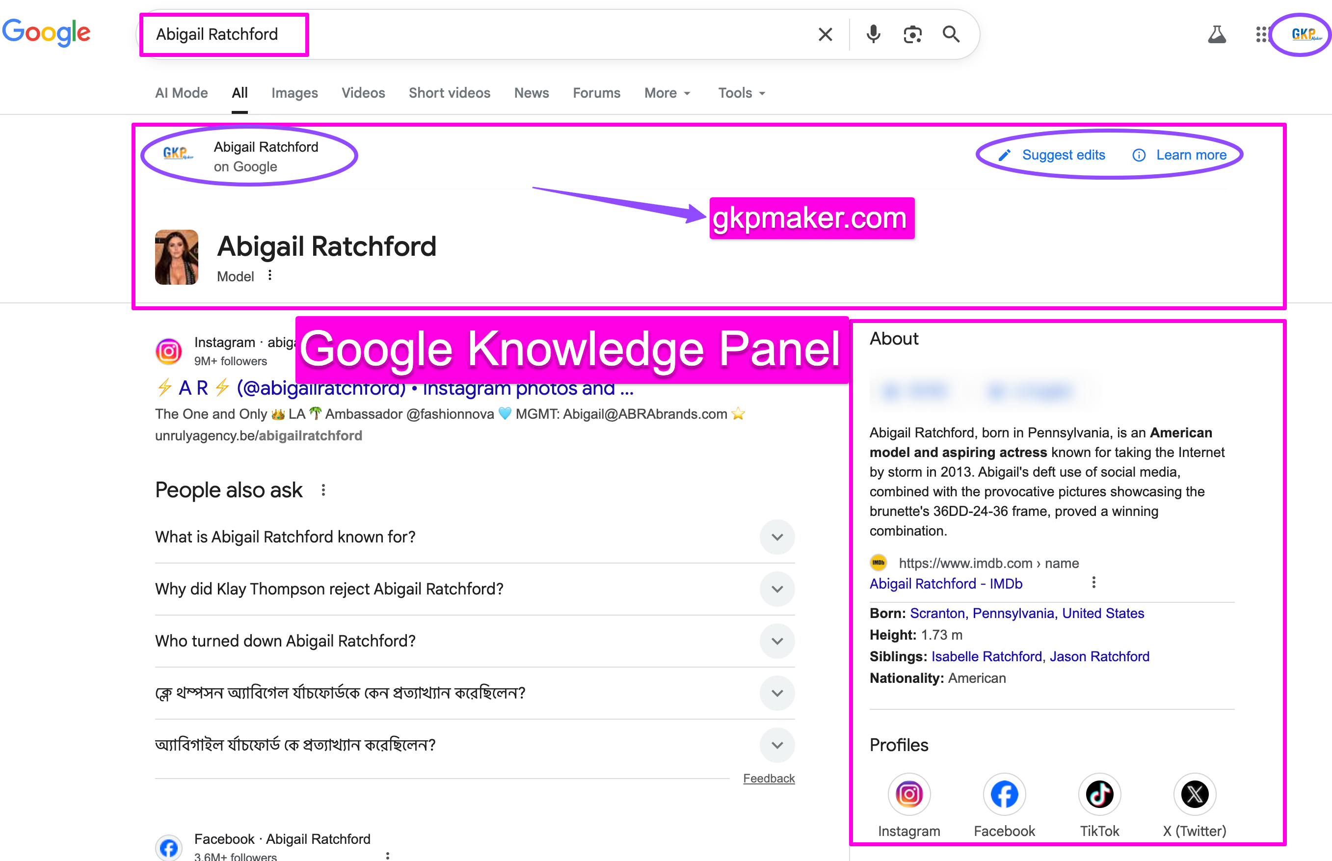 Individual Google Knowledge Panel