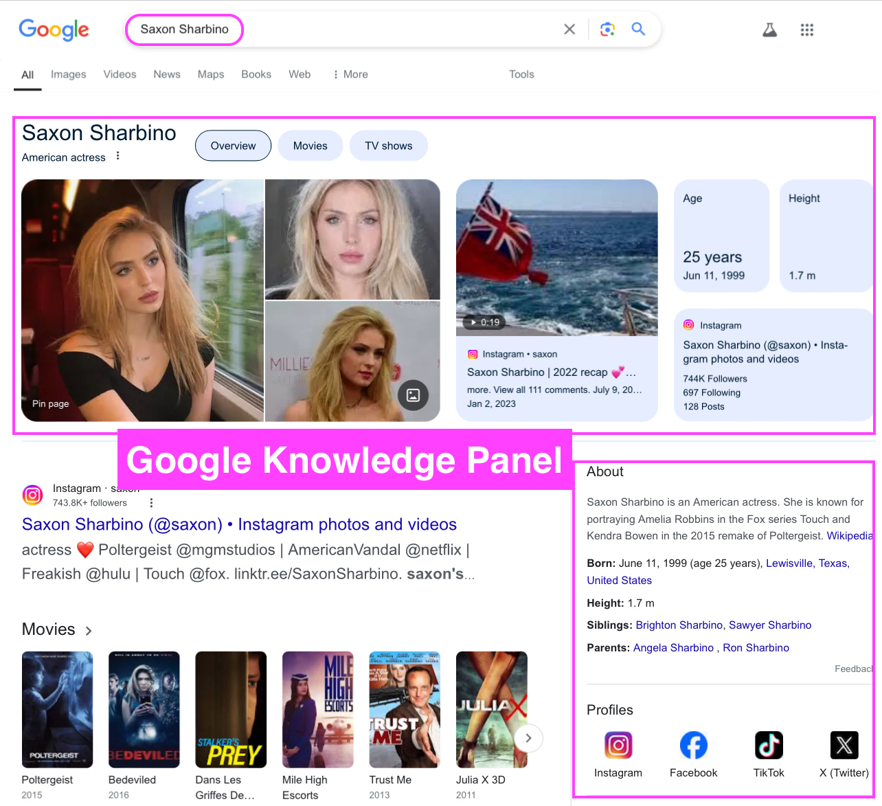 Individual Google Knowledge Panel