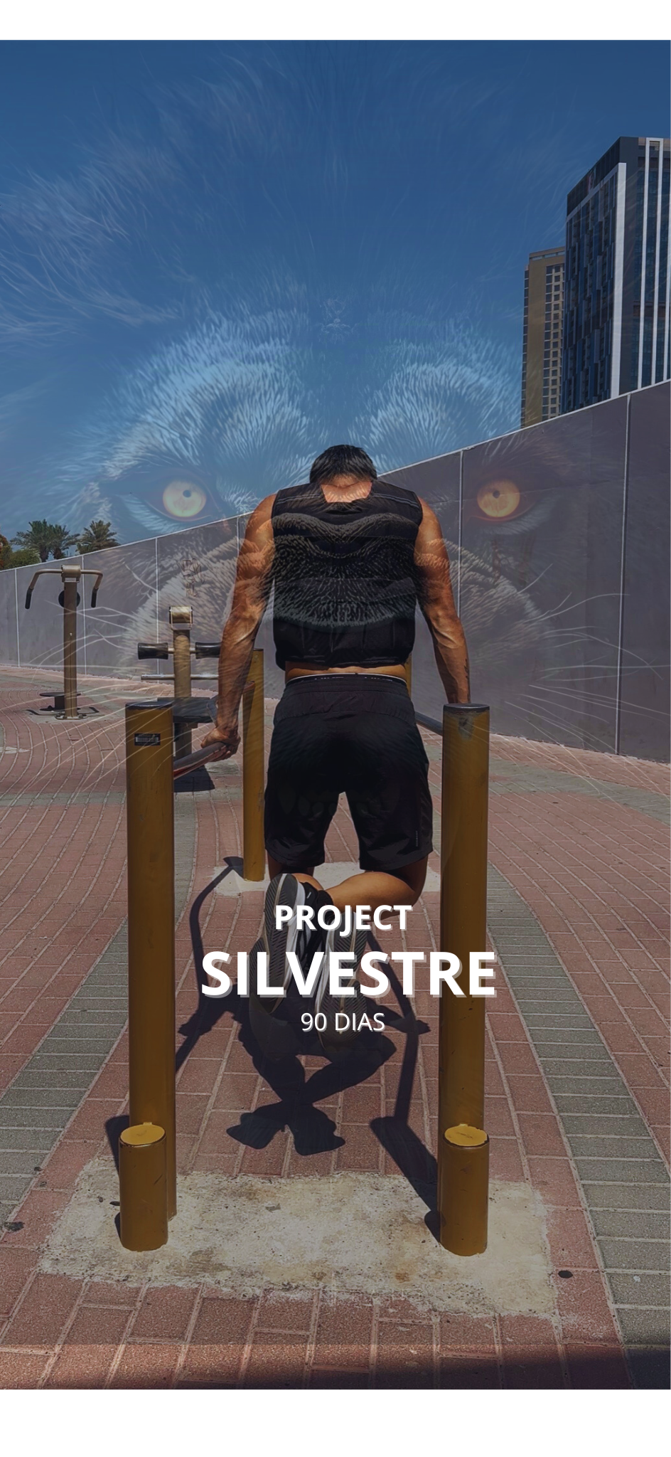 The Silvestre Project – 90 días