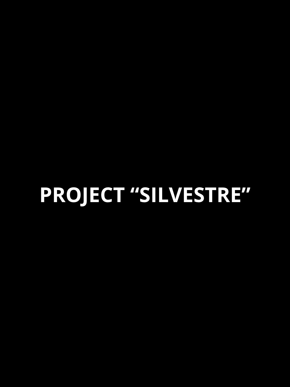 The Silvestre Project – 90 días