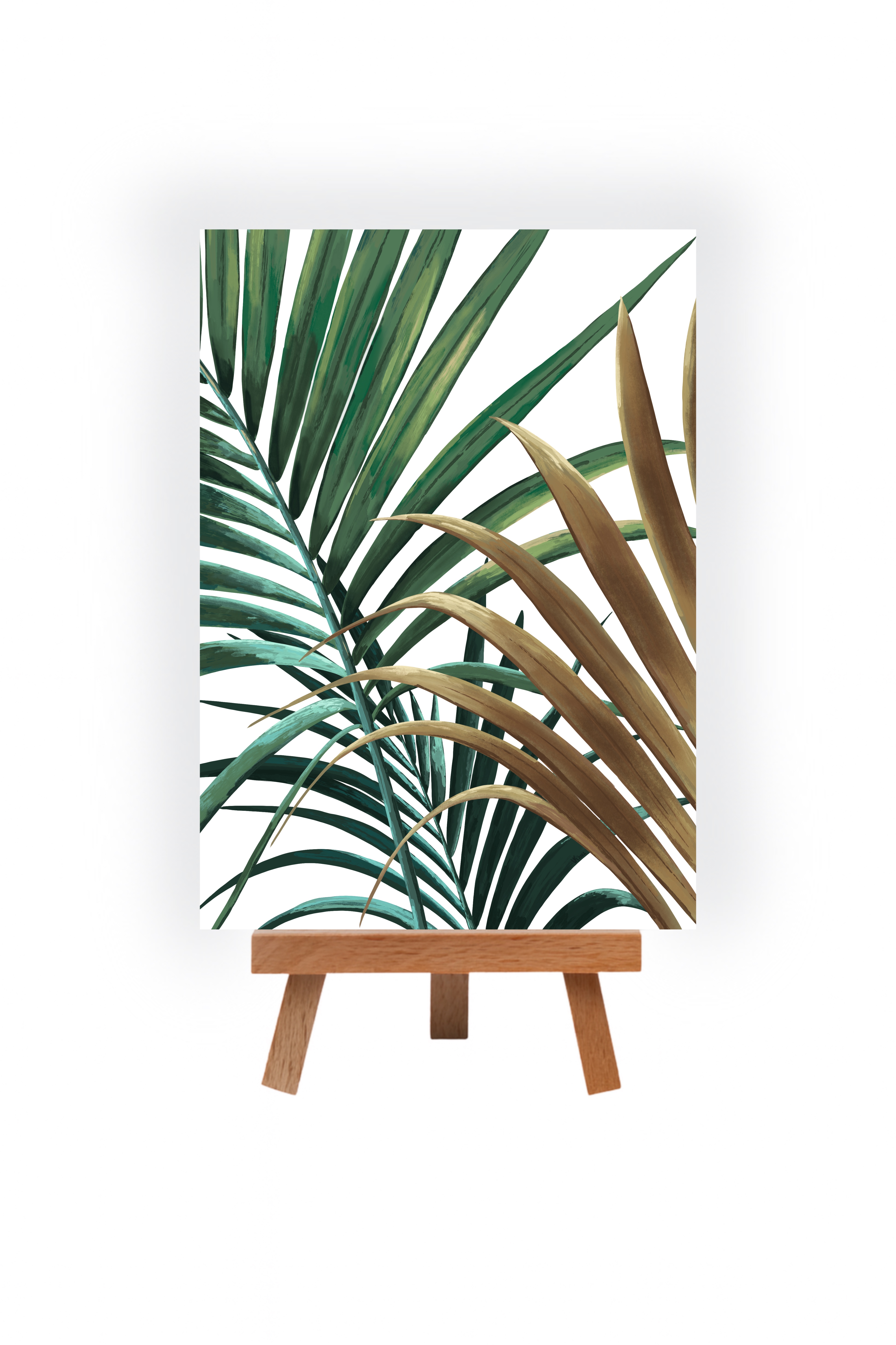 Tropical Palm Leaf