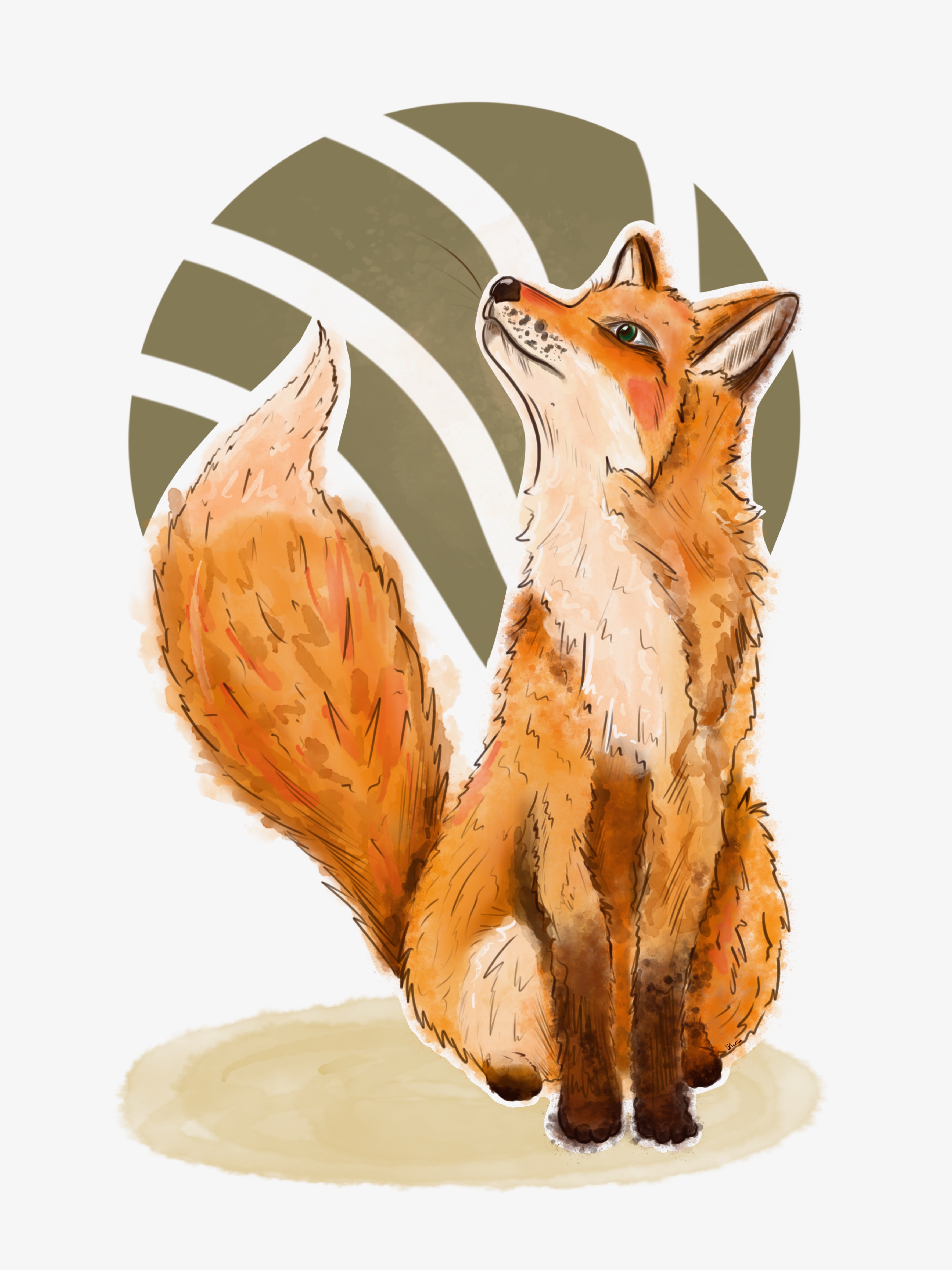 Curious Little Fox