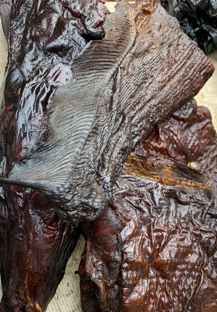 Giant Sized Asa Fish