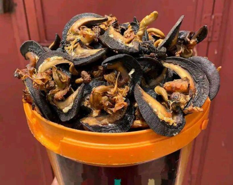 Paint Rubber of Oven-Dried Snail 