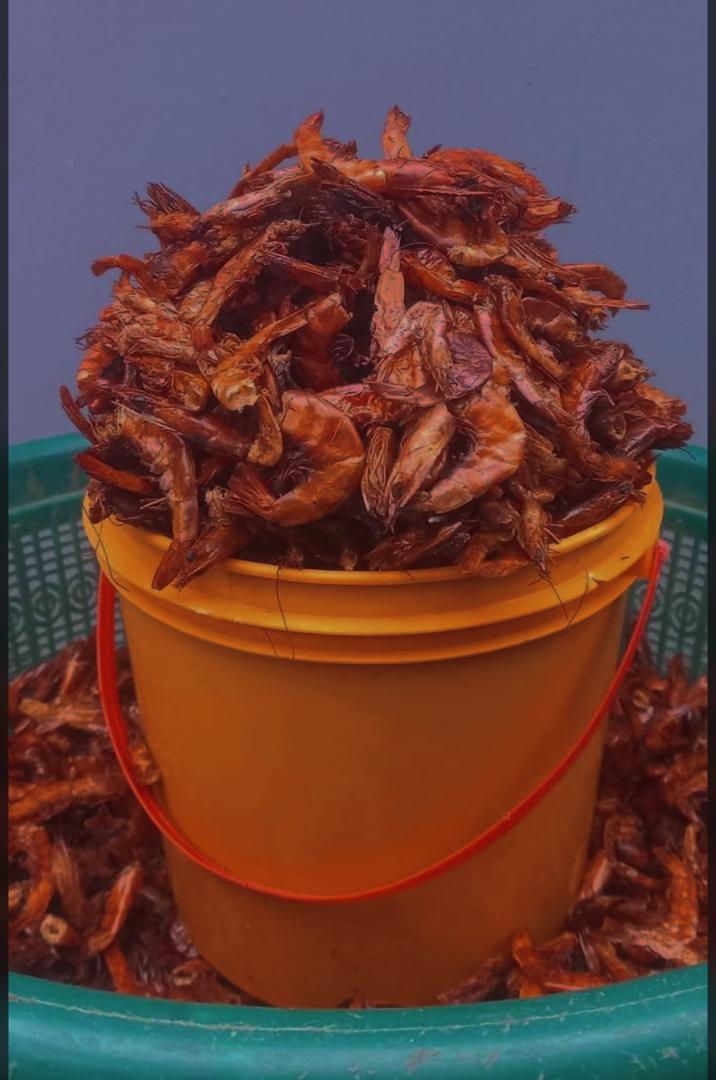 Dried Shrimps