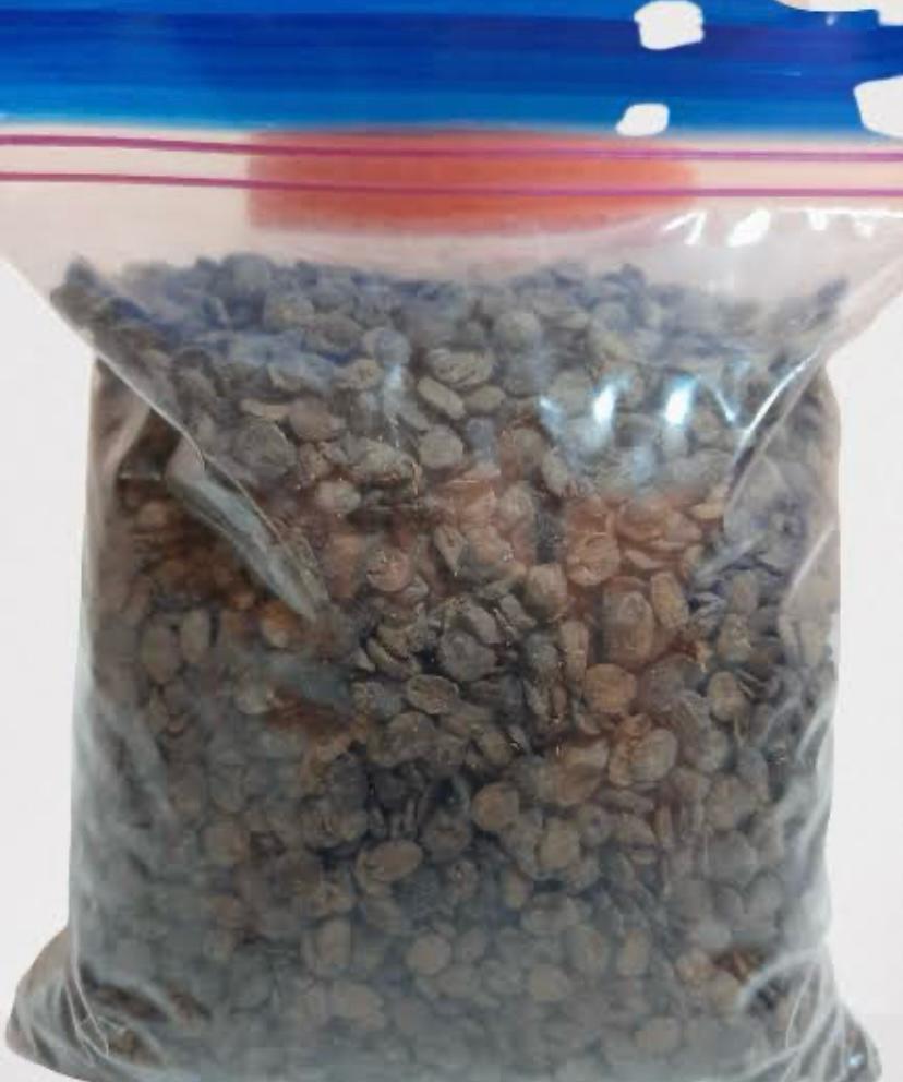 Dried Locust Beans