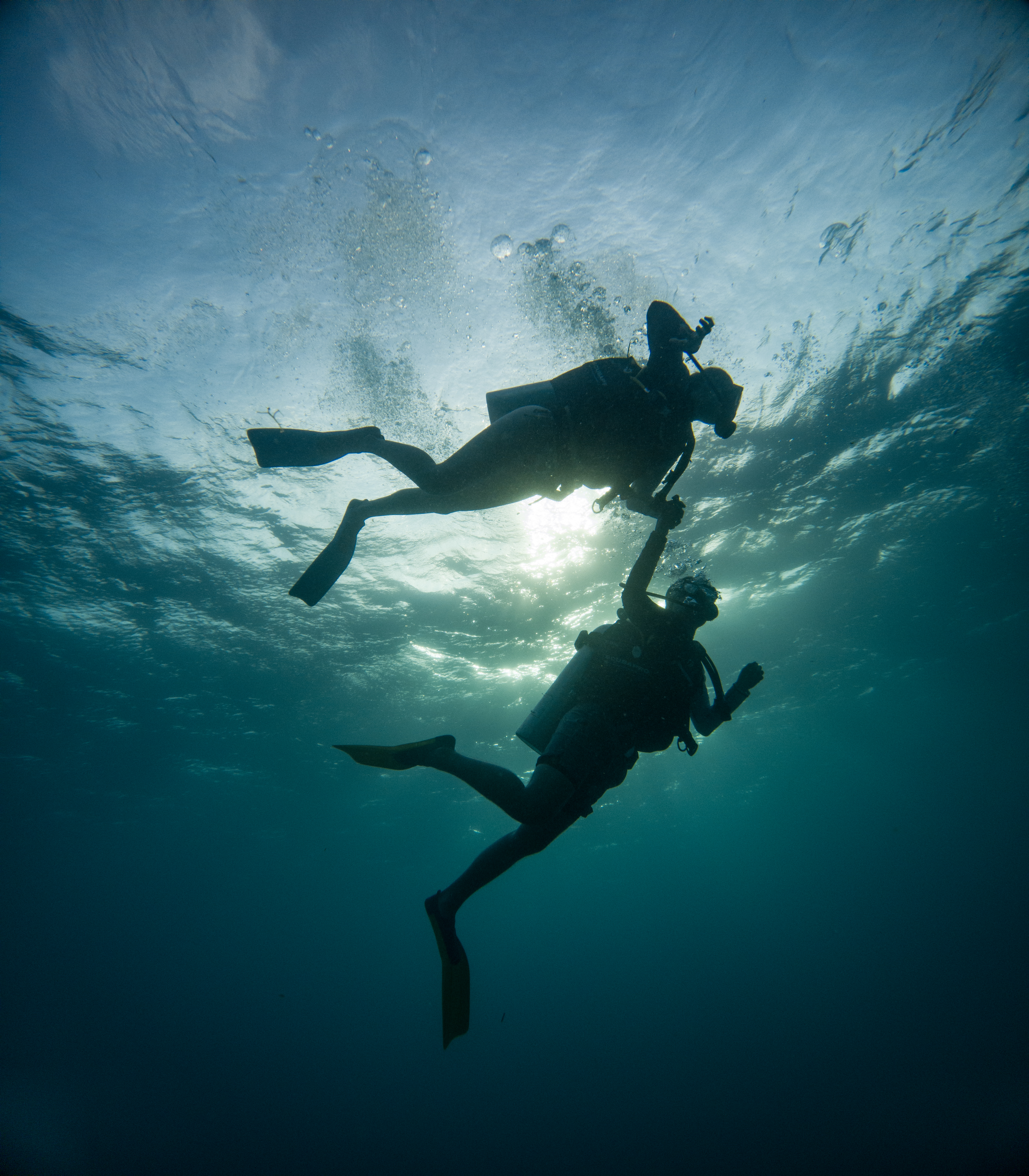 Bucea en uno de los mares más cristalinos de Colombia ISLA DE PROVIDENCIA