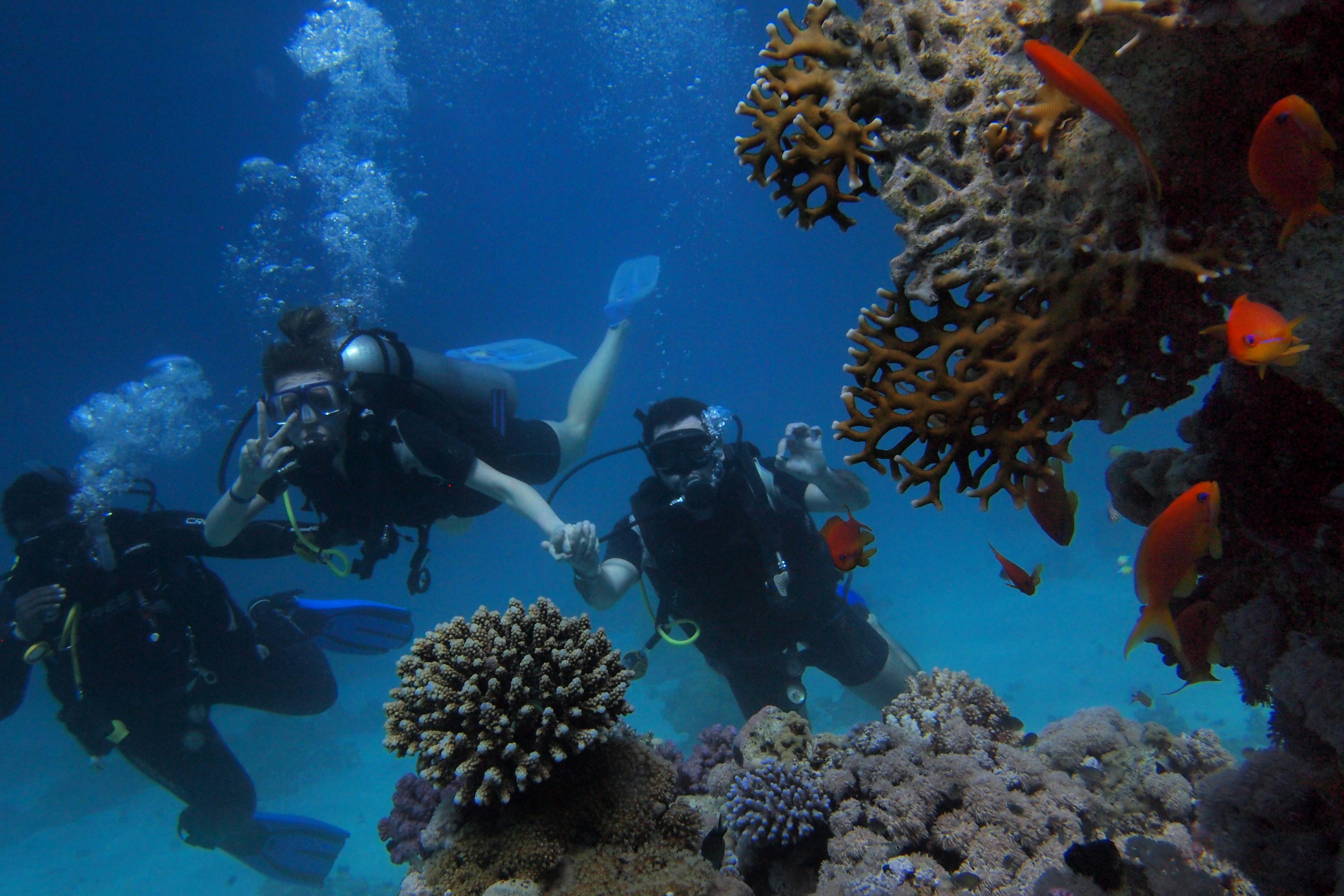 Bucea en uno de los mares más cristalinos de Colombia ISLA DE PROVIDENCIA