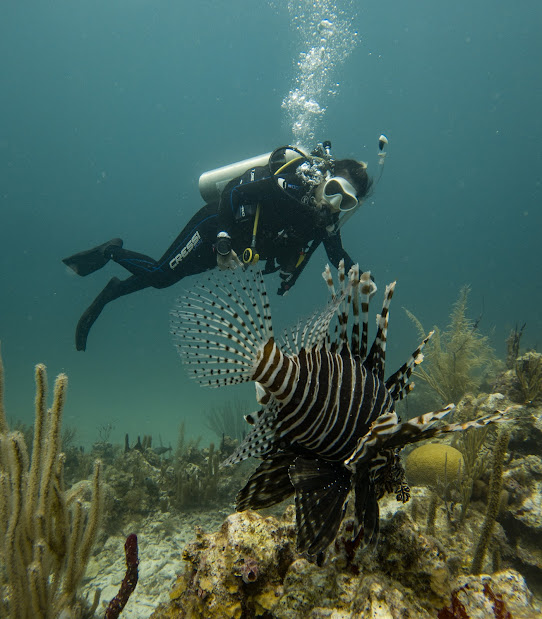 Bucea en uno de los mares más cristalinos de Colombia ISLA DE PROVIDENCIA